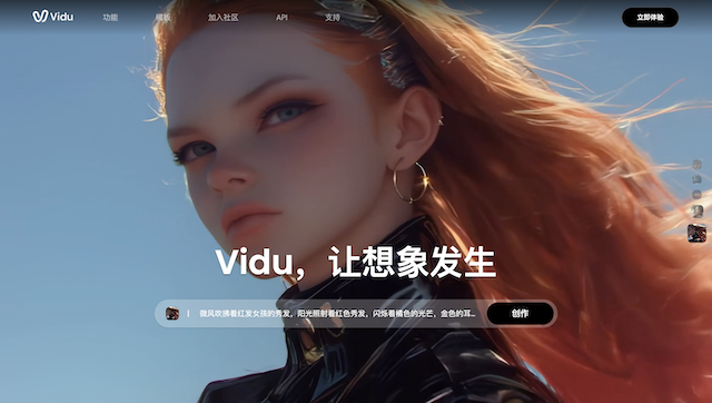 Vidu